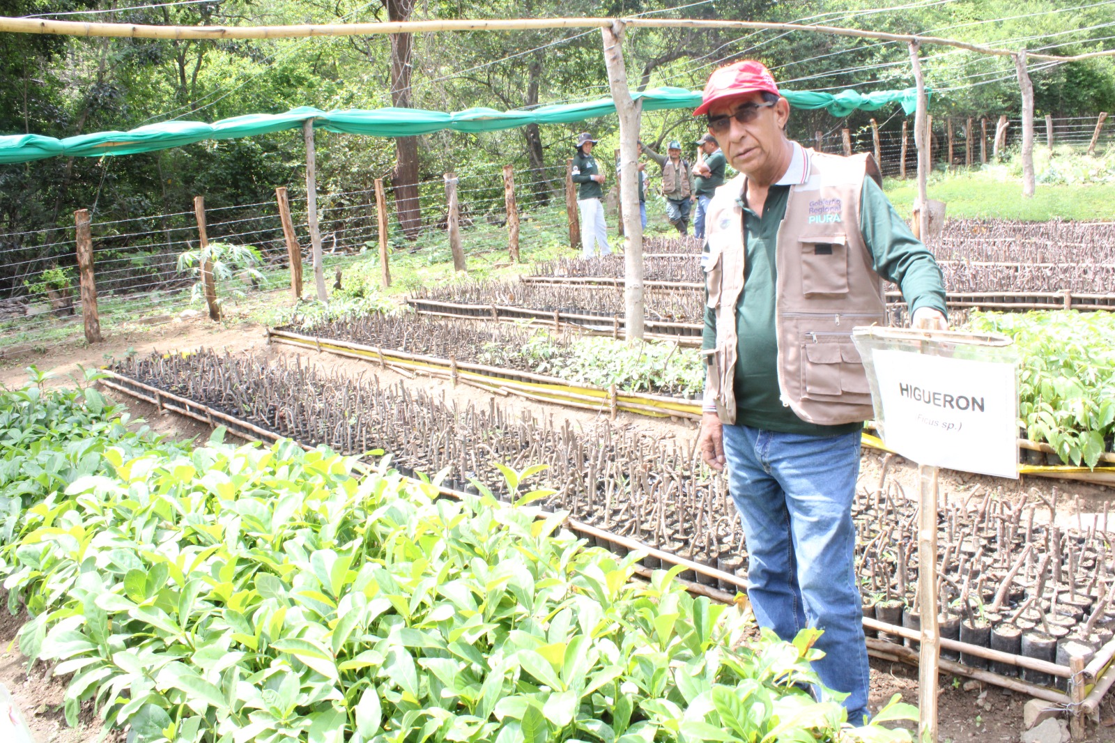 Se viene la ola verde: GORE, ANIN y cooperantes recuperarán 33 mil hectáreas de bosque en la región