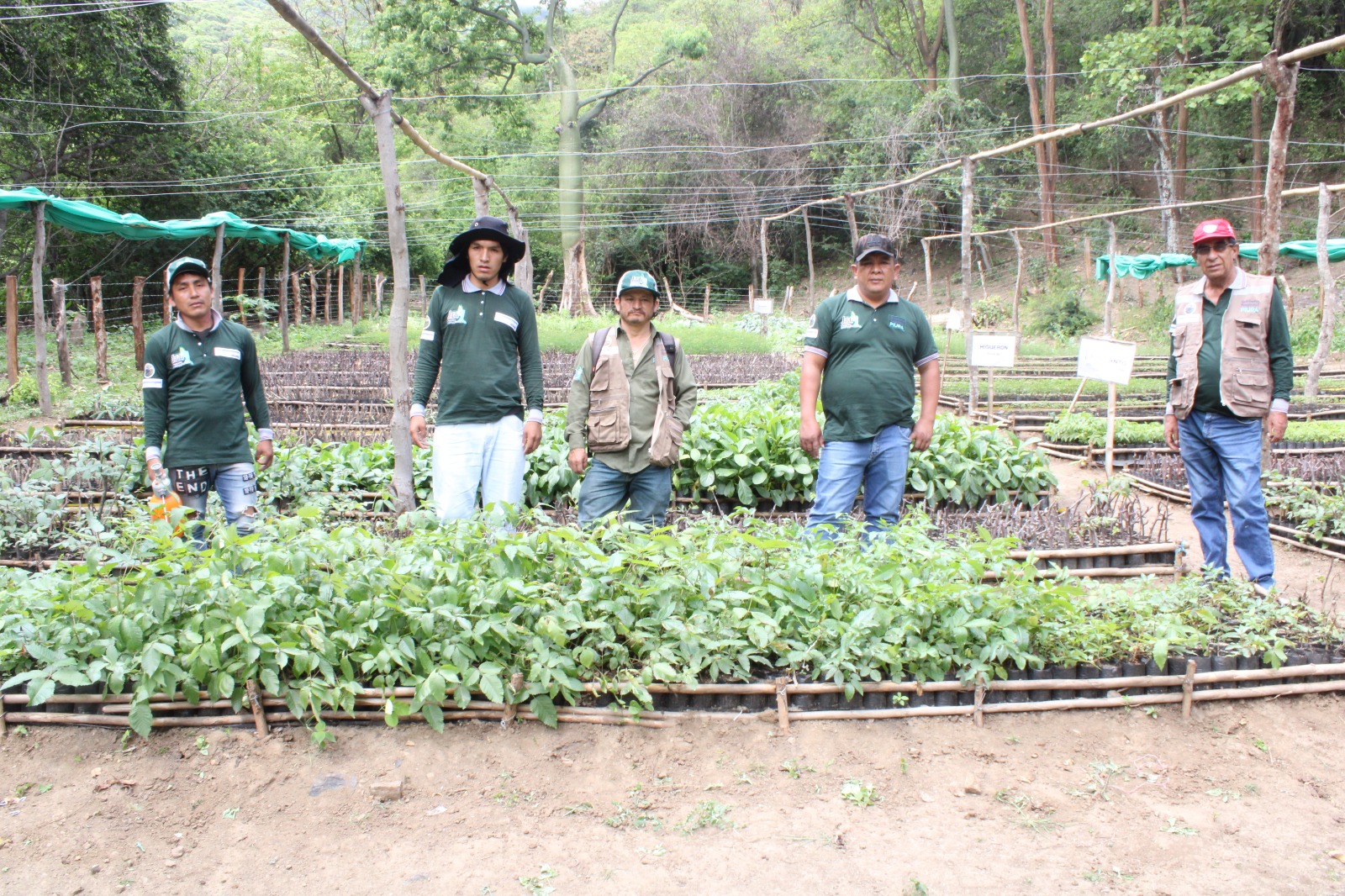 Se viene la ola verde: GORE, ANIN y cooperantes recuperarán 33 mil hectáreas de bosque en la región