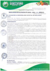 Vista preliminar de documento RESOLUCION-ALCALDIA-0100-2024-A-MDQ-LC