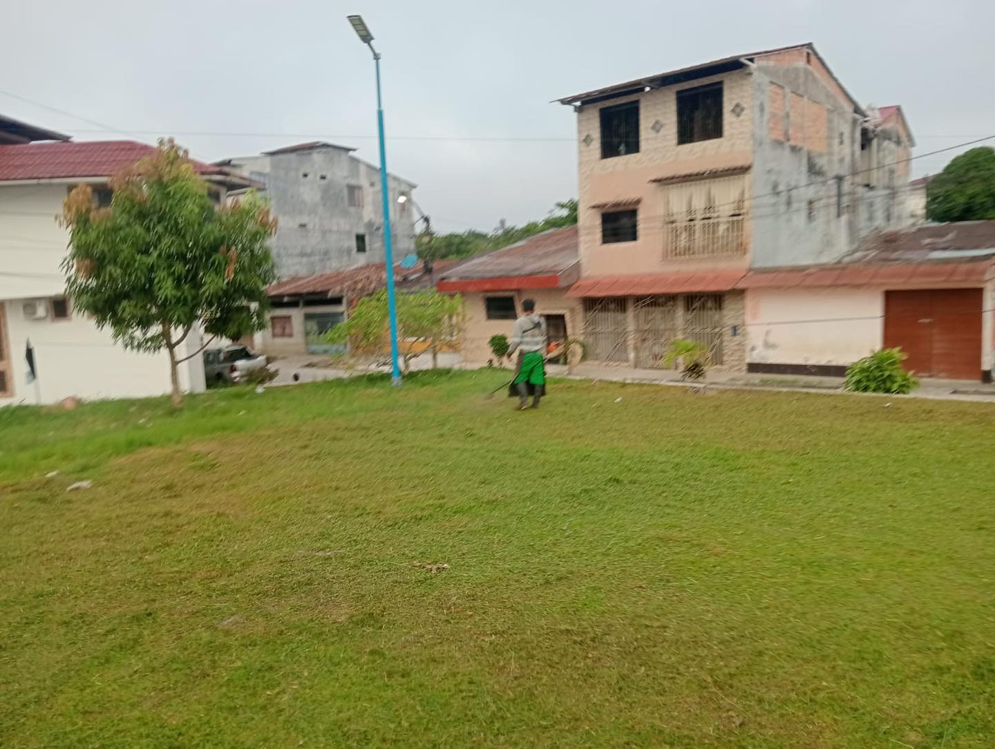 Sub Gerencia la de Gestión Ambiental realizó el mantenimiento de las áreas verdes de la losa deportiva de Río Mar.