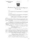 Vista preliminar de documento RGGR 395-2024