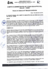 Vista preliminar de documento RGG N° 0096-2023-CAFED-GG