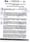 Vista preliminar de documento RGG N° 0101-2023-CAFED-GG