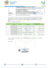 Vista preliminar de documento Informe de penalidades aplicadas para el mes de julio del 2024