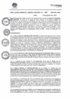 Vista preliminar de documento RGGR469