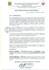 Vista preliminar de documento Resolucion410_2022