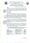 Vista preliminar de documento Resolucion411_2022
