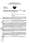 Vista preliminar de documento Resolución 