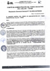 Vista preliminar de documento RGG N° 0132-2023-CAFED-GG