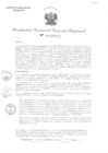 Vista preliminar de documento RGGR 400-2024