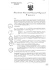 Vista preliminar de documento RGGR 404-2024