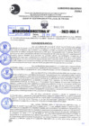 Vista preliminar de documento R.D 1089-2022