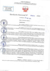 Vista preliminar de documento RD N 0804
