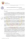 Vista preliminar de documento RGM0012024