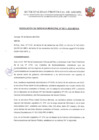 Vista preliminar de documento RGM0112024