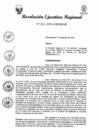 Vista preliminar de documento RER 224