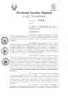 Vista preliminar de documento RER 222