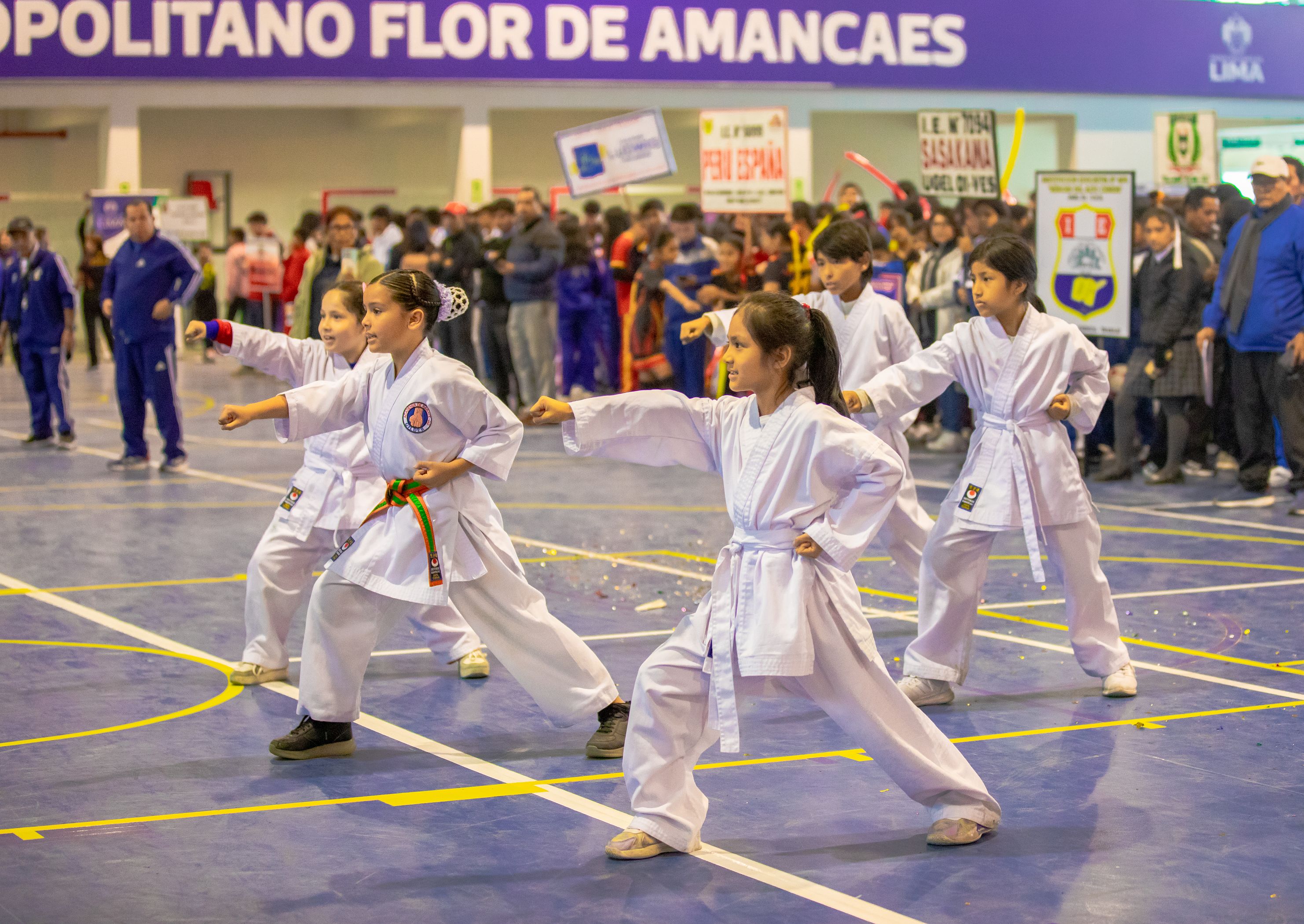Taekwondo