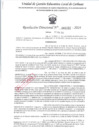 Vista preliminar de documento RD 202_REASIGNAR POR SLAUD_FLORES FLORES INES MARILLI