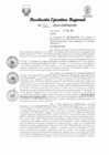 Vista preliminar de documento RER 210