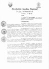 Vista preliminar de documento RER 208