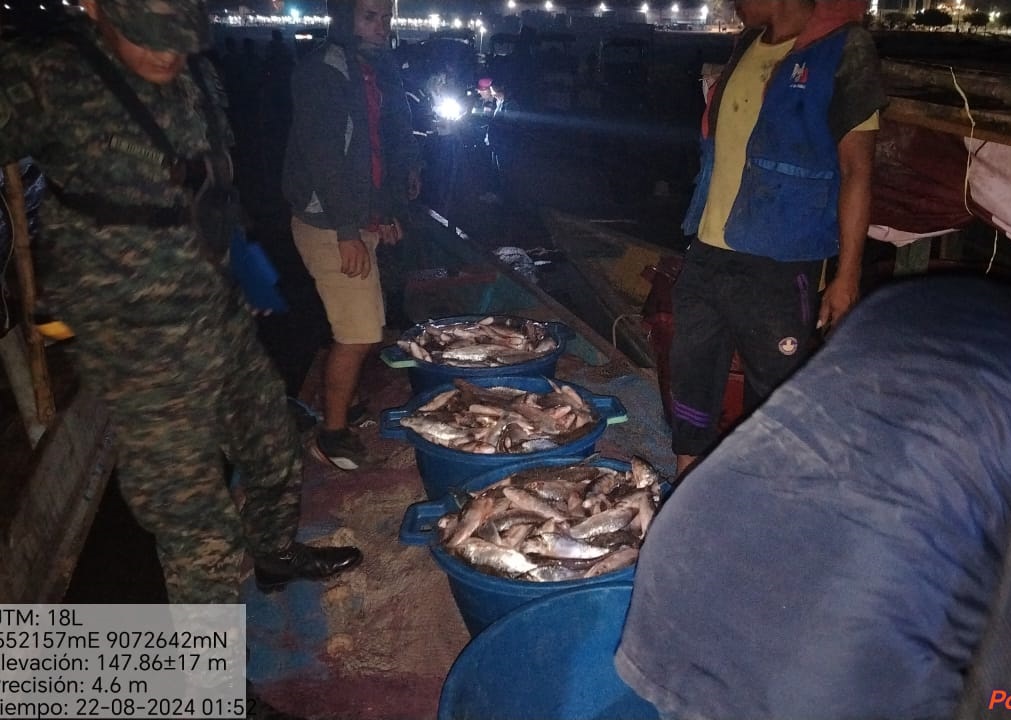 PNP