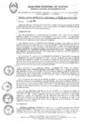 Vista preliminar de documento RGR0358-2024-GRI