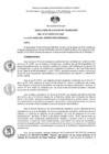 Vista preliminar de documento RA N 189 - Designacion Gestor INFOBRAS
