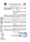 Vista preliminar de documento R-D 1307