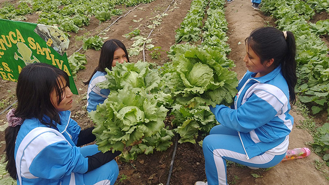 Institución Educativa "José Olaya" Implementa Biohuertos