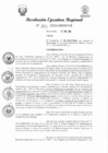 Vista preliminar de documento RER 204
