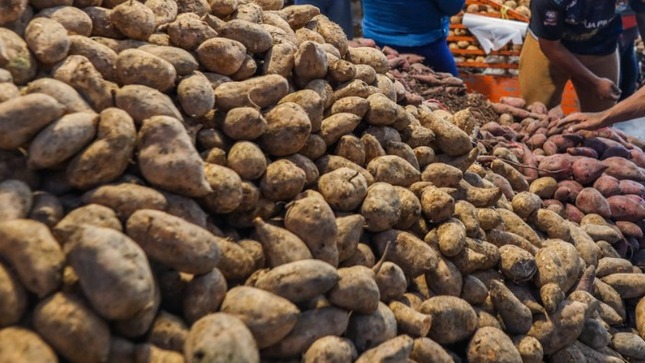 Hoy ofertas en camote, ajo, zapallo, piña, manzana, naranja y otros, según en mercados mayoristas