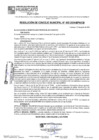Vista preliminar de documento RCM24N492