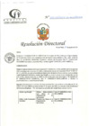 Vista preliminar de documento RD N°262-08-2024-DE-HCLLH-MINSA