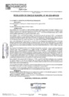Vista preliminar de documento RCM24N493