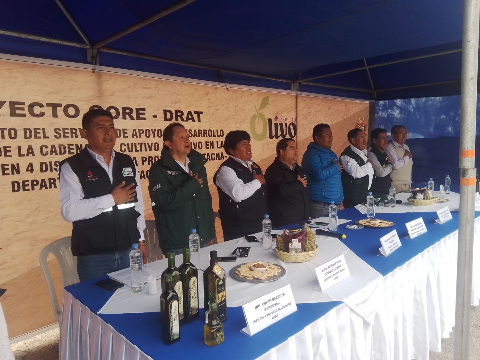 Imagen del Proyecto “Mejoramiento del Servicio de apoyo al desarrollo productivo de la cadena del cultivo del olivo en la región Tacna en 4 distritos de la Provincia de Tacna – Departamento de Tacna”