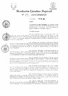 Vista preliminar de documento RER 195