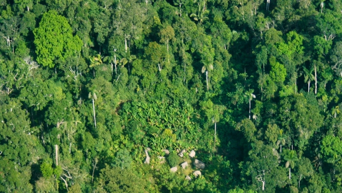 Mincul inscribe Reserva Indígena Sierra del Divisor en Registros Públicos para garantizar protección de vida y territorio de PIACI