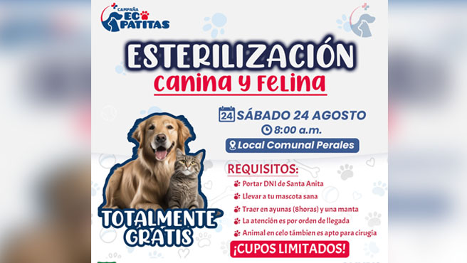 Sin título-1