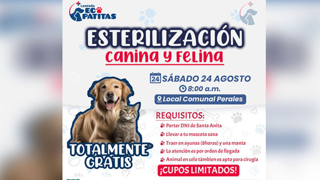 Sin título-1