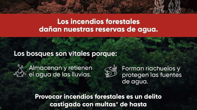 📣 ¿𝗦𝗮𝗯𝗶́𝗮𝘀 𝗾𝘂𝗲 𝗹𝗮 𝗽𝗿𝗼𝘃𝗼𝗰𝗮𝗰𝗶𝗼́𝗻 𝗱𝗲 𝗶𝗻𝗰𝗲𝗻𝗱𝗶𝗼𝘀 𝗳𝗼𝗿𝗲𝘀𝘁𝗮𝗹𝗲𝘀 𝘀𝗲 𝘀𝗮𝗻𝗰𝗶𝗼𝗻𝗮? 
📣 El Servicio Nacional Forestal y de Fauna Silvestre (Serfor) Áncash y la Municipalidad Provincial de Sihuas, te informan sobre cuáles son las consecuencias al provocar un incendio forestal🔥🚫.
¡𝙅𝙪𝙣𝙩𝙤𝙨 𝙚𝙫𝙞𝙩𝙚𝙢𝙤𝙨 𝙡𝙤𝙨 𝙞𝙣𝙘𝙚𝙣𝙙𝙞𝙤𝙨 𝙛𝙤𝙧𝙚𝙨𝙩𝙖𝙡𝙚𝙨!
👉Ante un incendio forestal, comunícate con las autoridades correspondientes🤝
