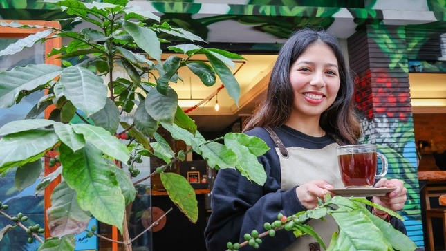 Las diversas variedades de café se producen en 16 regiones del país.

