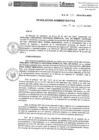 Vista preliminar de documento R.A.N.221-2024-INSN-OEA