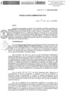 Vista preliminar de documento R.A.N.225-2024-INSN-OEA