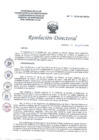 Vista preliminar de documento RD N° 196 2024 DG HEJCU