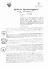 Vista preliminar de documento RER-100-2020-GRSM-GR