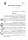 Vista preliminar de documento RER-101-2020-GRSM-GR