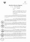 Vista preliminar de documento RER-104-2020-GRSM-GR