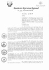 Vista preliminar de documento RER-105-2020-GRSM-GR