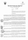 Vista preliminar de documento RER-114-2020-GRSM-GR